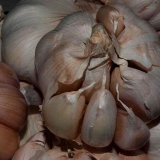 Koji proljetni bijeli luk posaditi na mjestu: najbolje sorte